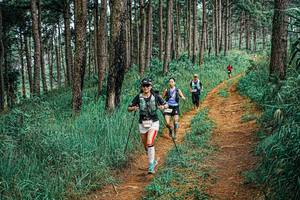 BIB: 
                            <button type="button" onclick="openModal(25692167)" class="btn btn-primary btn-sm float-right btn-popup" data-toggle="modal" data-target=".modal-high-quality">
                        <i class="fas fa-shopping-cart"></i> Add to Cart
                    </button>
                                            <button type="button" onclick="isThisMe(25692167, true)" class="btn btn-success btn-sm float-right btn-popup btn-isme hidden" data-toggle="tooltip" data-placement="bottom" title="นี่คือรูปของคุณใช่ไหม คลิกที่นี่เพื่อเอาเข้าอัลบั้ม">
                        <i class="fas fa-plus"></i> Add to album
                    </button>
                    <button type="button" onclick="isThisMe(25692167, false)" class="btn btn-warning btn-sm float-right btn-popup btn-isnotme hidden">
                        <i class="fas fa-ban"></i> Remove from album
                    </button>